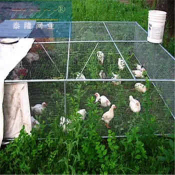 Hot dipped galvanized hexagonal wire mesh