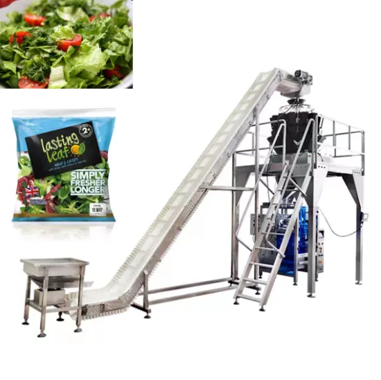 Automatic Salad Vegetable Weighing and Packing Machine