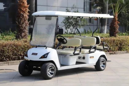 Six Passenger Golf Cart