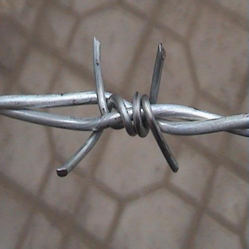 anti=theft barbed wire mesh