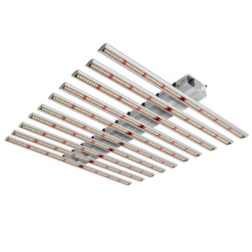 Más nuevo Samsung LM561C Grow Light para jardín interior
