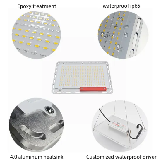 Best Grow Light 240W Samsung LM301H quantum