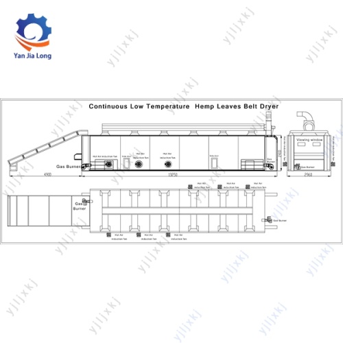 Pengering Belt Conveyor Berlalu Rumput Laut