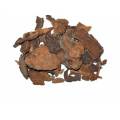 Polygonum multiflorum extract for hair