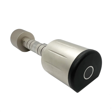 Electronic Euro Door Lock with Password, Fingerprint, IC Card, and APP Access