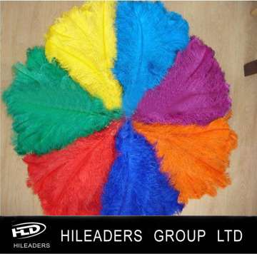 Colorful Decoration Dyed Ostrich Feather for Festival and Fashion Show
