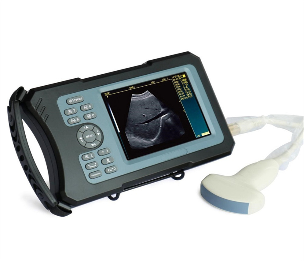 Cheap portable veterinary ultrasound machine for Equine