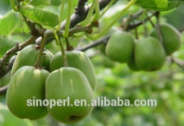 Expanded Perlite for Agricultural