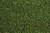 Hi Everyone ,look our beautiful golf grass,it is very hot in the market