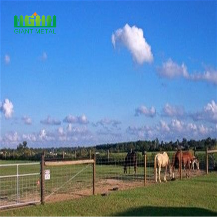 Flexible horse fence  protection