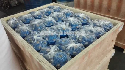 Double opening exhaust valve