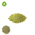 Bio -OEM -Versorgung Alfalfa -Blattextrakt 99% Pulver