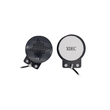 Sound wave box speaker for Electric Car System