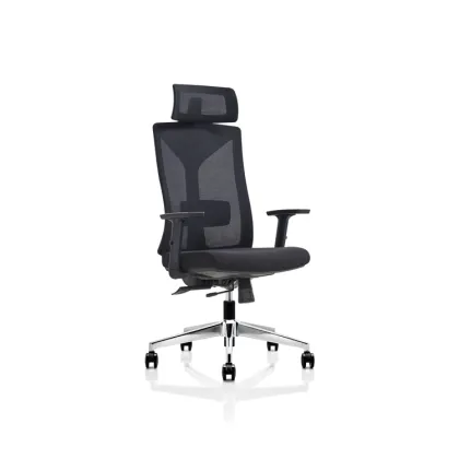 Foshan Hot Sale Ergonomic Office Chair