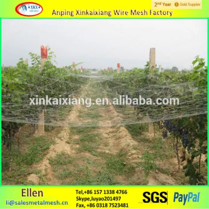 Anping plastic bird protection net,anti bird protection net