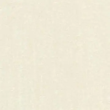 Polished Soluble Salt Tile (JS6805)