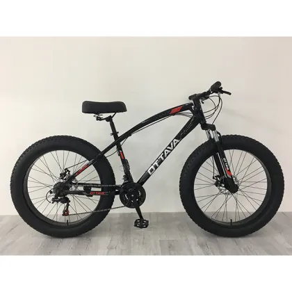 Classical 26 Inch Steel 21 Speed Fat Bike with Speed Meter