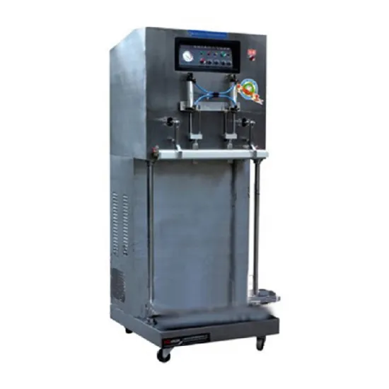 DZQ-600L  External Suction Vacuum Packaging Machine