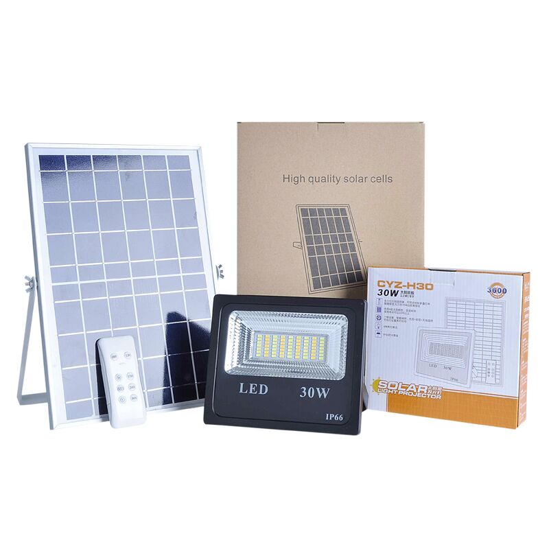 Dual White Color Outdoor Solar LED Flood Light