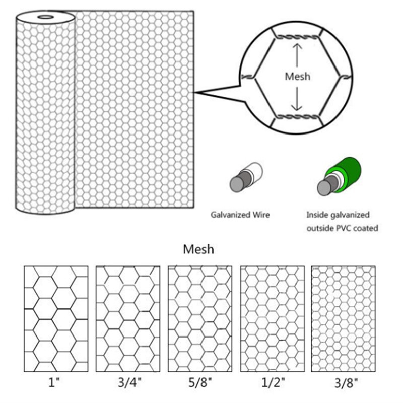 Galvanized Hexagonal Wire Mesh Netting for Chicken