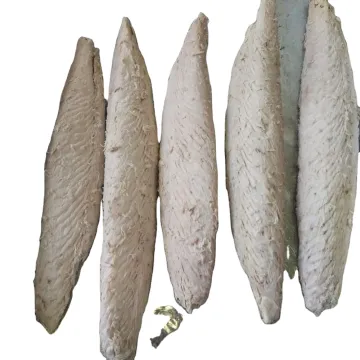 Precooked sarda orientalis