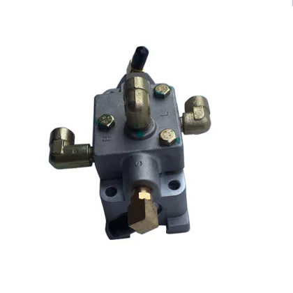 Top-Ranked Intake and Exhaust Valves, Manifold Runner Control Valve for A5000 1110188G5 Engine