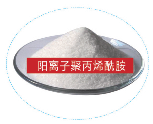 High Purity Cationic Polyacrylamide Powder