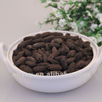 High quality Clove Fruit (mudingxiang)