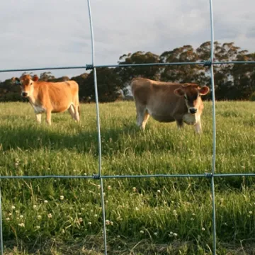50 Meters Farm Agricultural Cow Sheep Deer Fence 8ft