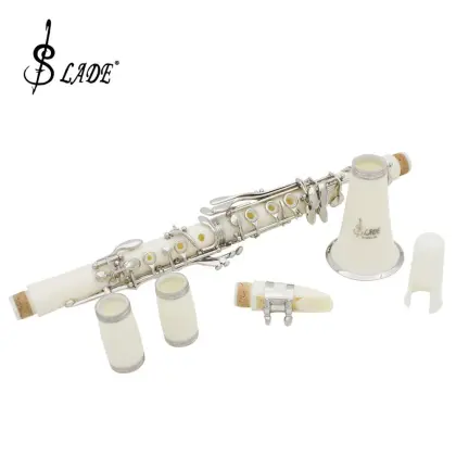 17-key Clarinet Abs Nickel-plated Buttons Double-barrel Excellent White Clarinet with Woodwind Musical Instrument Accessories