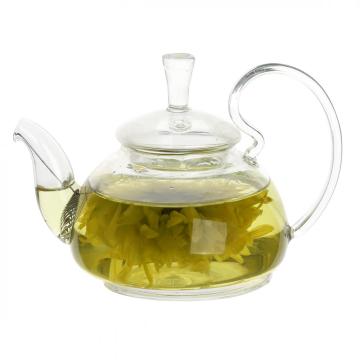 17.5oz Glass Teapot with Glass Infuser