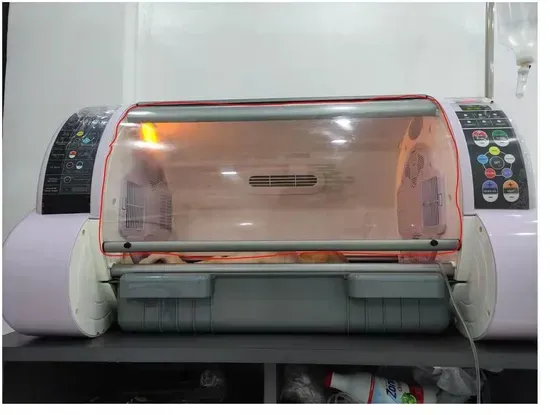 My-W068 Veterinary ICU Pet Incubator
