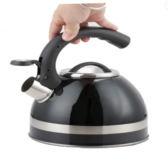 2019 Whistling Kettle Stainless Steel Outdoor