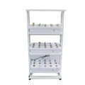 /msite/products/detail/productid/57284380/id/537503.html
