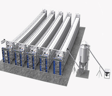 Automatic Battery Layer Chicken Egg Laying Hens Cage - 4 Tiers