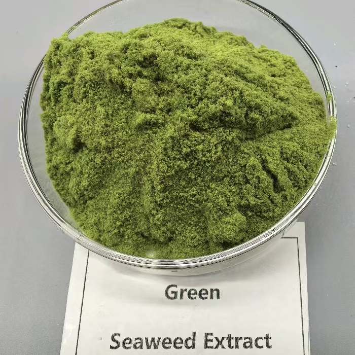 Organic biostimulant Green algae extract
