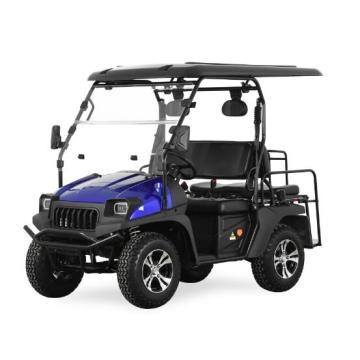 Coperture di buggy per golf cart