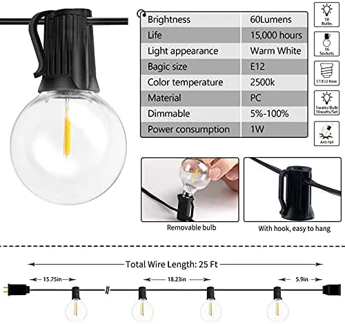 Wangui Outdoor Commercial String Light Set - G40 Clear Globe Bulbs, 24 FT Weatherproof