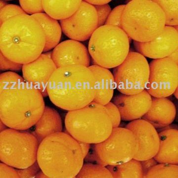 Nanfeng mandarin orange
