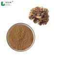 Direct sales Natural maitake mushroom extract