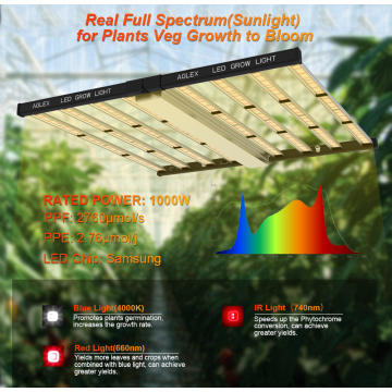 Lámpara de cultivo de LED de planta interior de 1000 vatios de 1000 vatios