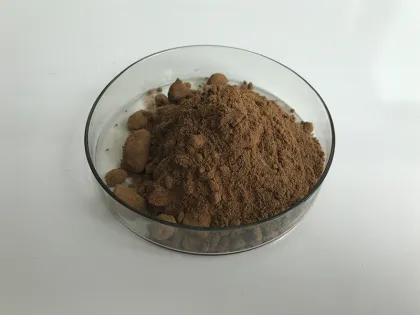 Hot Sell Agaricus Bisporus Mushroom Extract Powder
