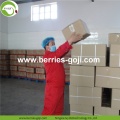 Fabrieksvoeding Fruit Premium Import Goji Berry