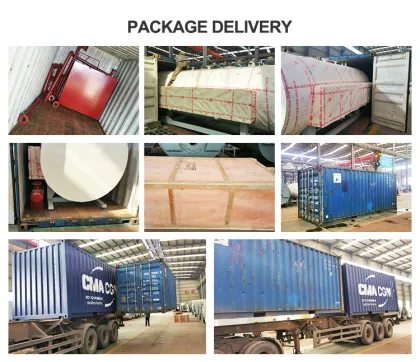 Horizontal Industrial Electric Steam Boilers: WDR 1T-8T Boiler Prices