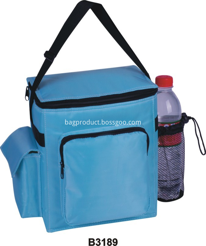 Cool Carry Cooler Bag