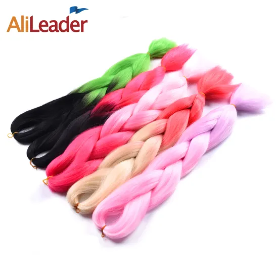 AliLeader 24 Inch 100G Jumbo Braid Synthetic Crochet Hair
