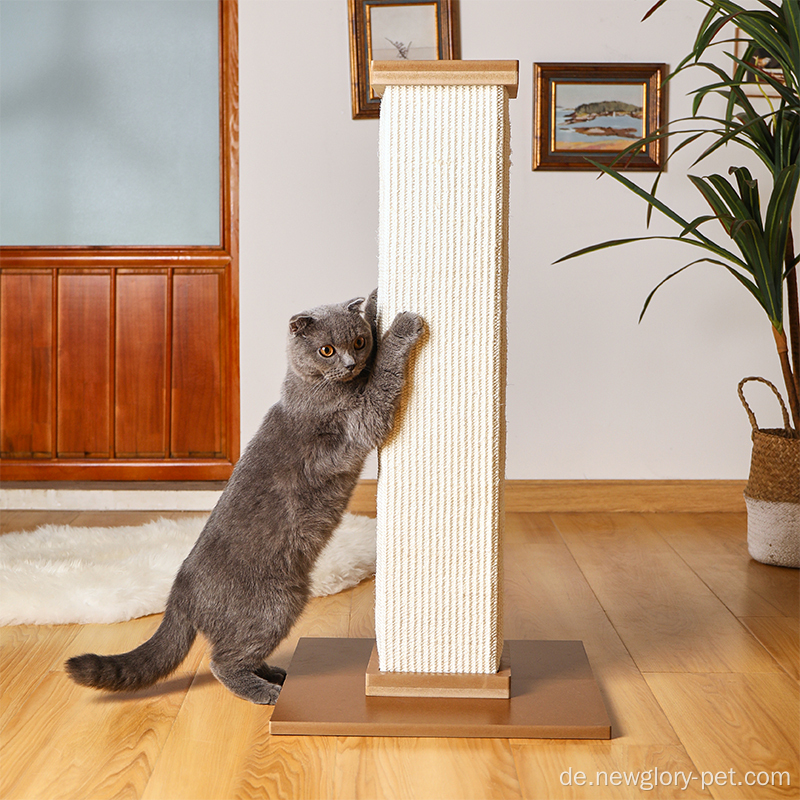 Heiße Haustierkatze kratzt Postspielzeug