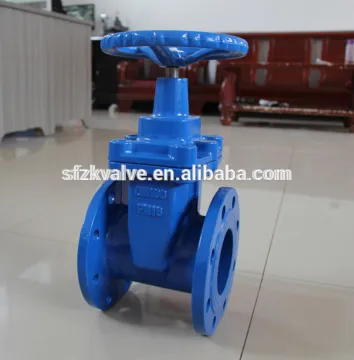 BS/DIN/AWWA/Gost Cast iron gate valve