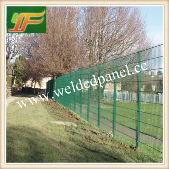 Oramental Double Loop Wire Fence ( Large Factory)