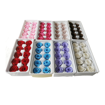 Wholesale 3-4 Preserved Real Touch Feel Rose Box - Eternal Everlasting Roses
